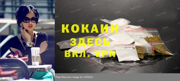 ГАЛЛЮЦИНОГЕННЫЕ ГРИБЫ Аркадак