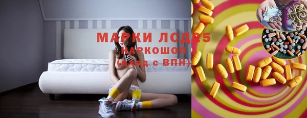 ГАЛЛЮЦИНОГЕННЫЕ ГРИБЫ Аркадак