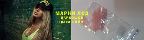 ГАЛЛЮЦИНОГЕННЫЕ ГРИБЫ Аркадак