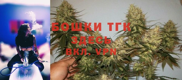 ГАЛЛЮЦИНОГЕННЫЕ ГРИБЫ Аркадак