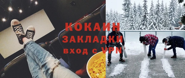 ГАЛЛЮЦИНОГЕННЫЕ ГРИБЫ Аркадак