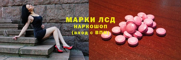 ГАЛЛЮЦИНОГЕННЫЕ ГРИБЫ Аркадак