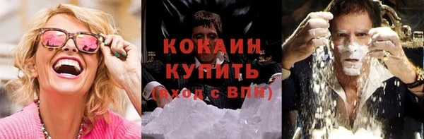 ешки Арсеньев